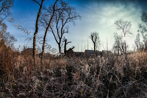 IMG_1641-Edit