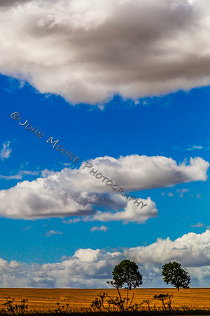 A91C0880-Edit