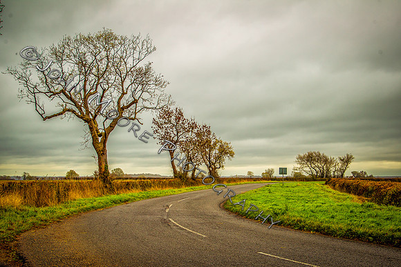 A91C2948-Edit