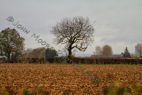 IMG_0017-Edit