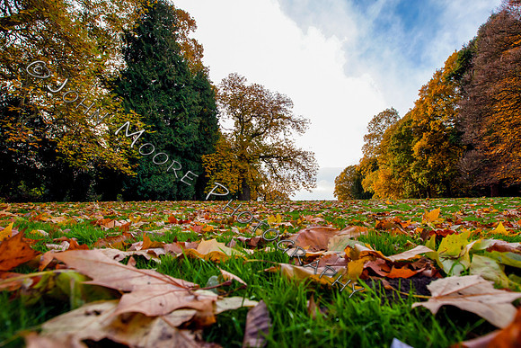 IMG_8550-Edit