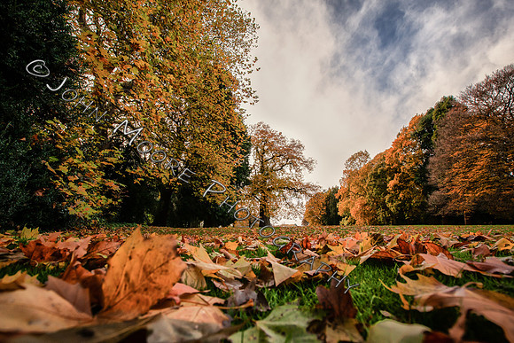 IMG_8555-Edit