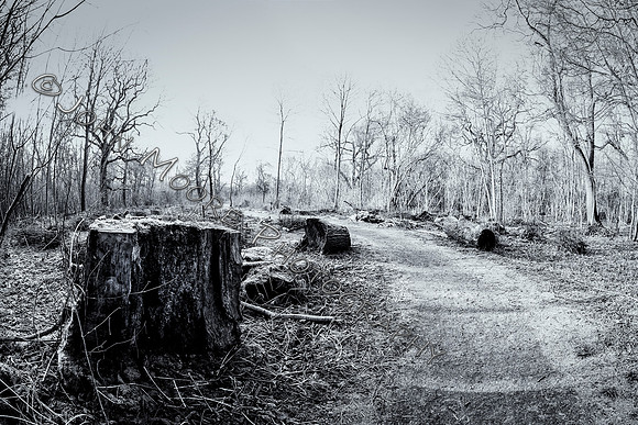 IMG_1677-Edit-2