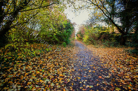 IMG_8802-Edit