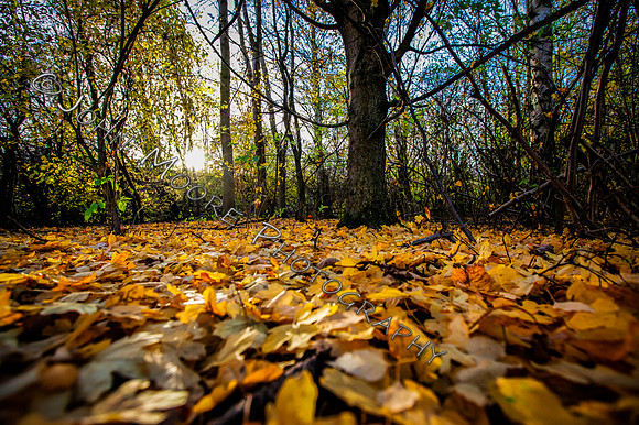IMG_8790-Edit
