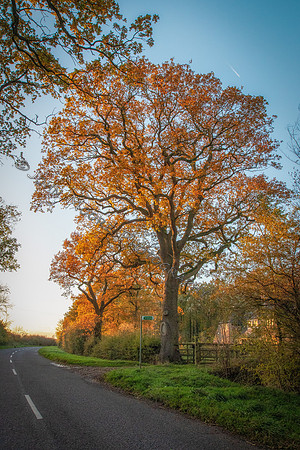 IMG_6522-2-Edit