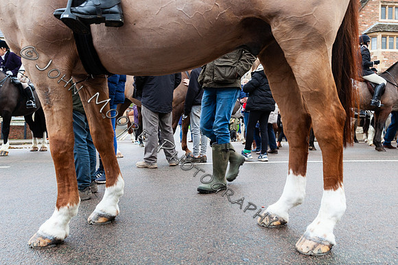 IMG_9517