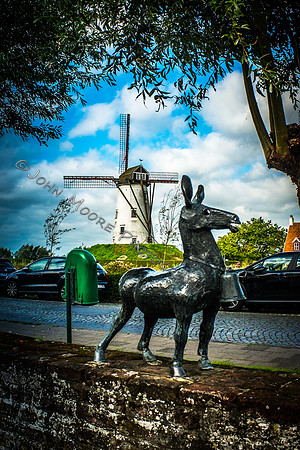DSCF0899
