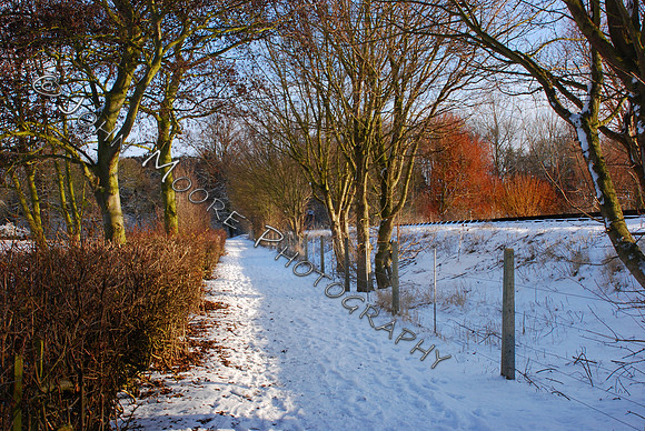 DSC_0269i
