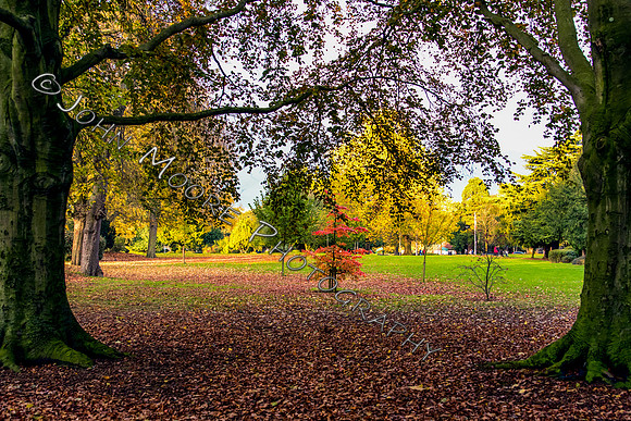 IMG_3535-Edit