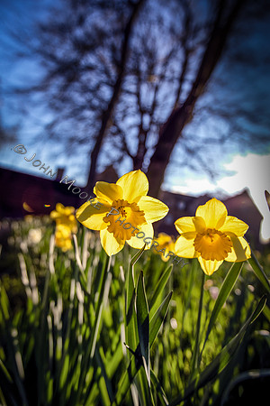 BP5A9007-Edit