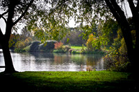 IMG_9679i