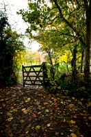 A91C4436i