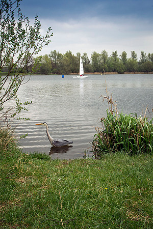JWM_3630