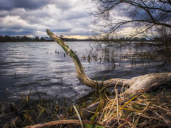 IMG_1197-Edit