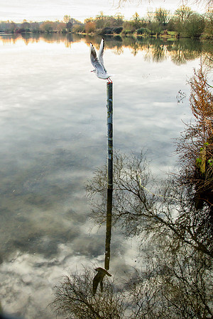 A91C1599-Edit