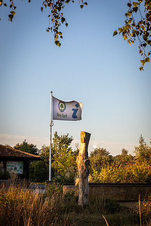 BP5A1778