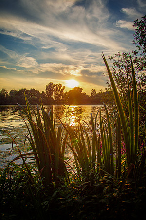 A91C1148-Edit
