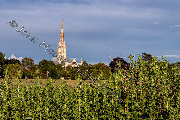 IMG_1196-Edit