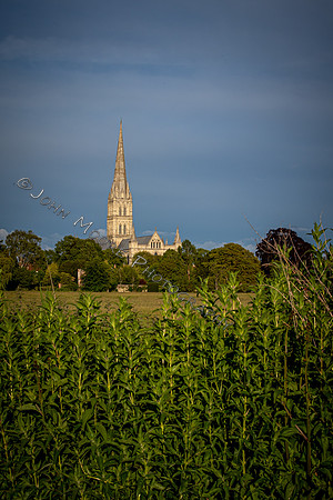 IMG_1198