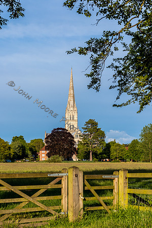 IMG_1205