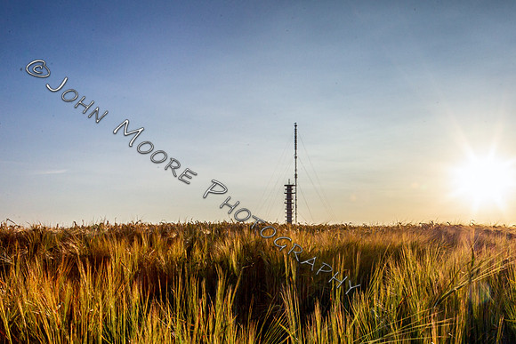 A91C5849-Edit