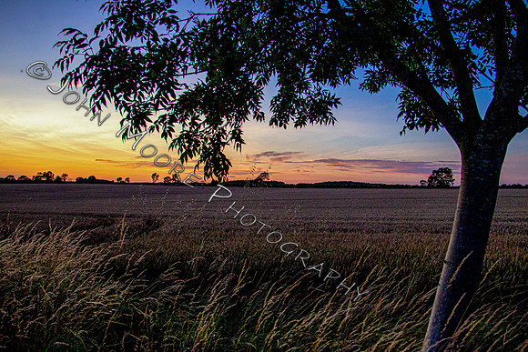A91C5962-Edit