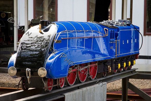 JWM_4632