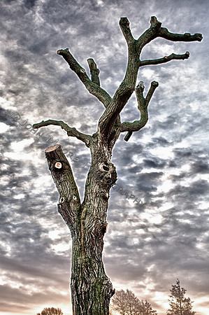 IMG_7478_HDR