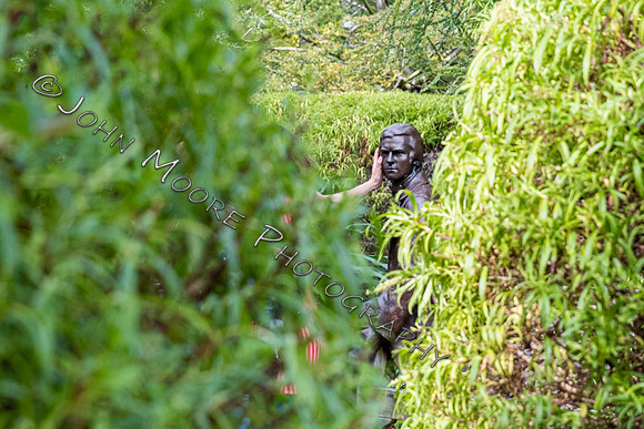 IMG_4303