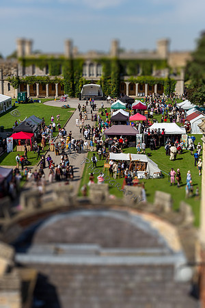 _MG_3902-Edit