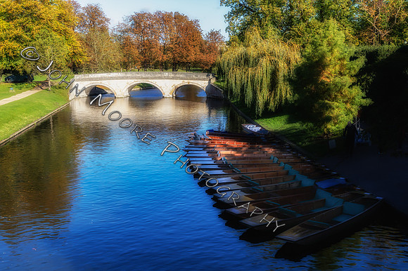 IMG_6225-Edit