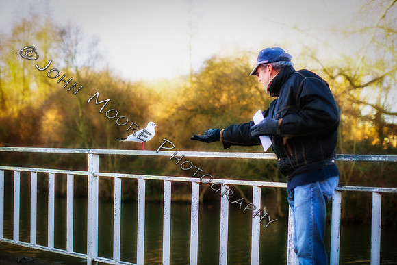_MG_0931-Edit