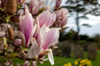 DSCF4138-2