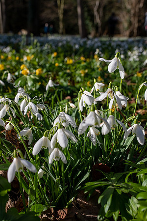 BP5A4646