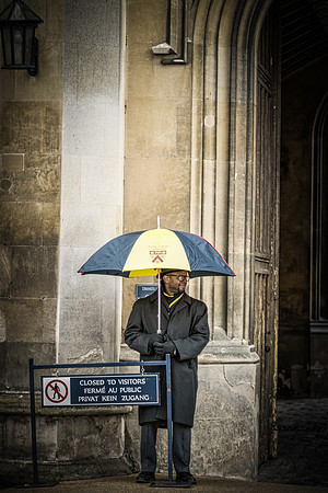 IMG_2625