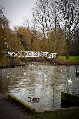 St_Neots_JM_230111_18