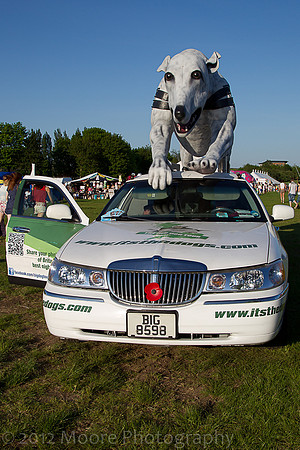 willow_fest-2