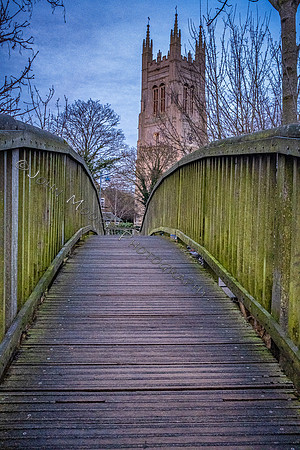 DSCF7791-Edit