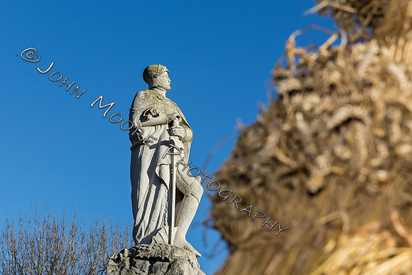 _MG_2401