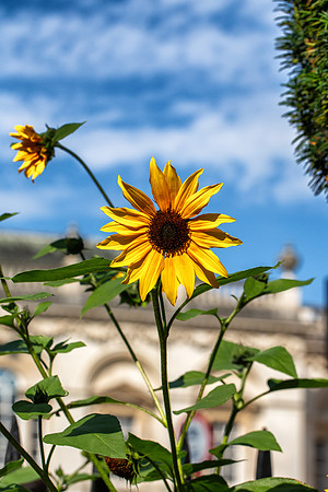 _MG_6216-Edit