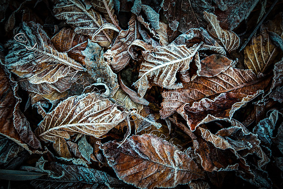 IMG_9749-Edit