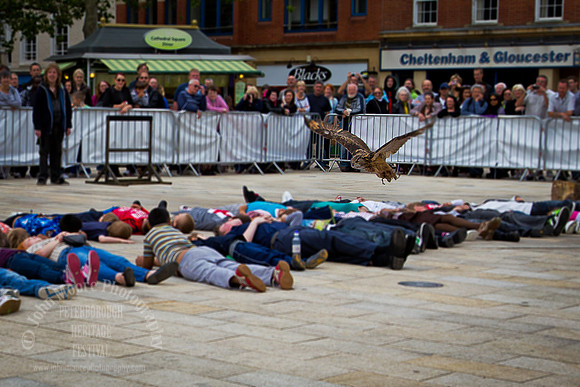 Heritage_Fest_2012-98