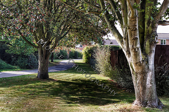 IMG_3176_HDR