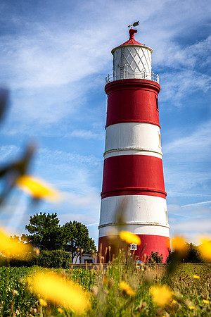 BP5A0094-Edit