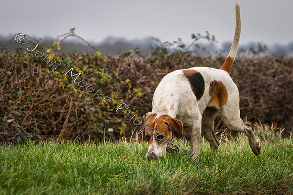 IMG_3680-Edit