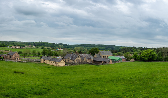 DSCF5017-Pano
