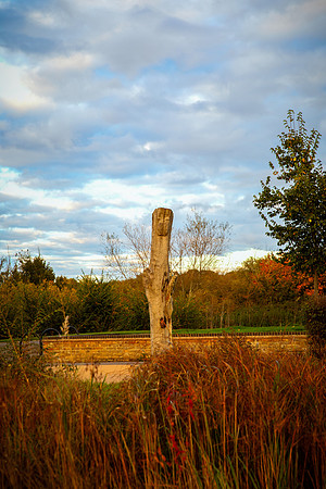 BP5A0779-Edit