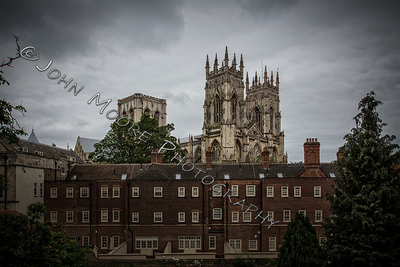 _MG_3772