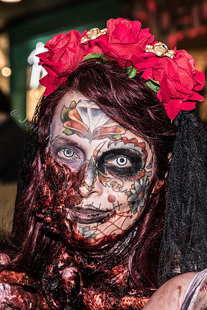 IMG_2384
